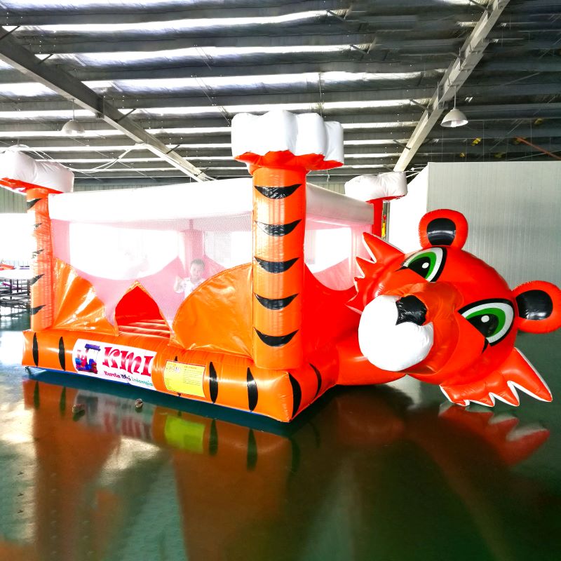 Inflatable Bounce House XZ-BH-641